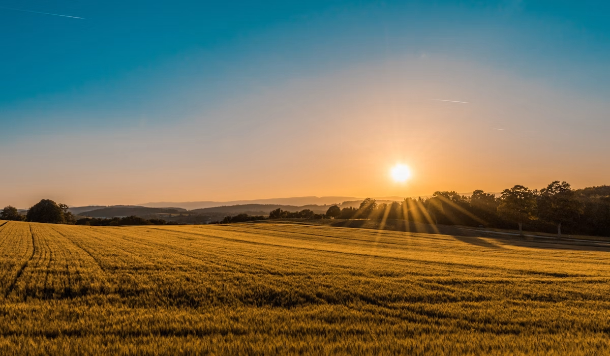 Farm Land Development